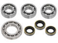 swiing® revival bearing & shaft seal set engine | Zündapp 247 swiing® revival bearing & shaft seal set engine | Zündapp 247
