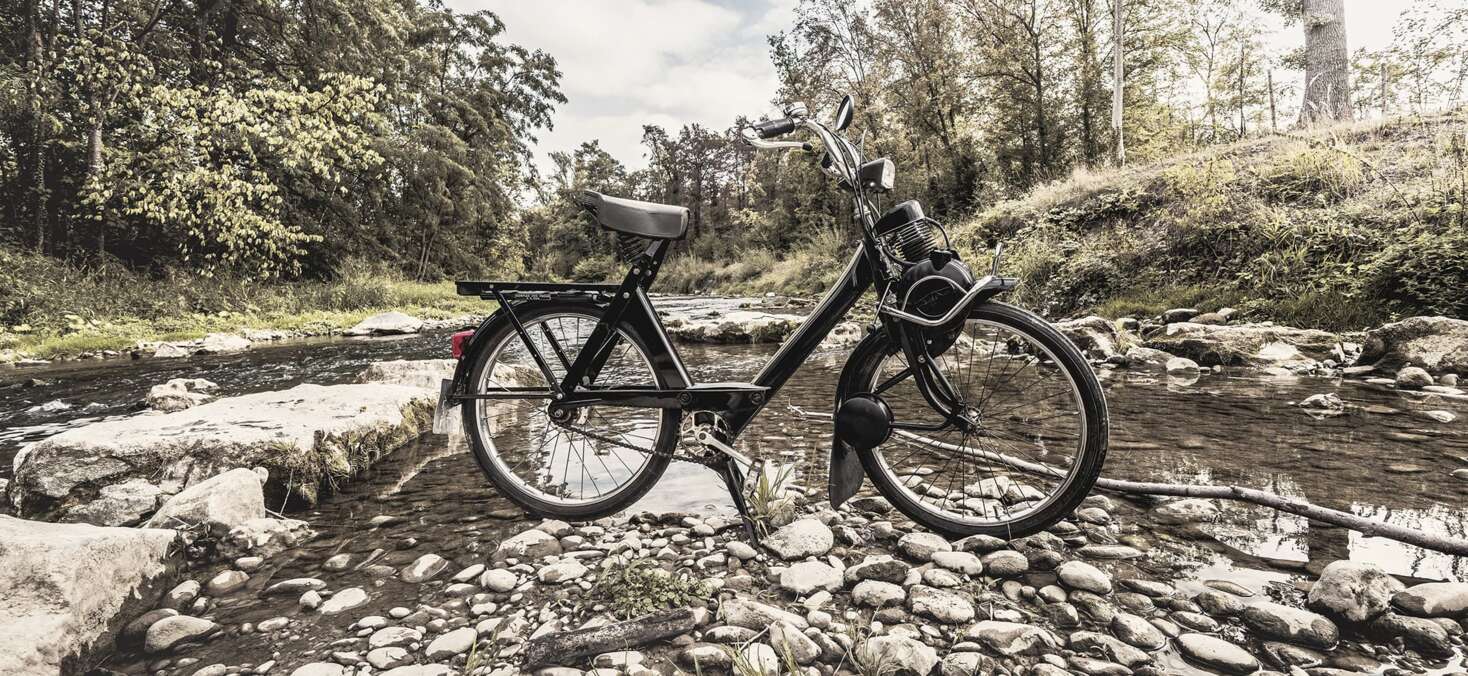 header-image-solex-2259× 1040 header-image-solex-2259× 1040