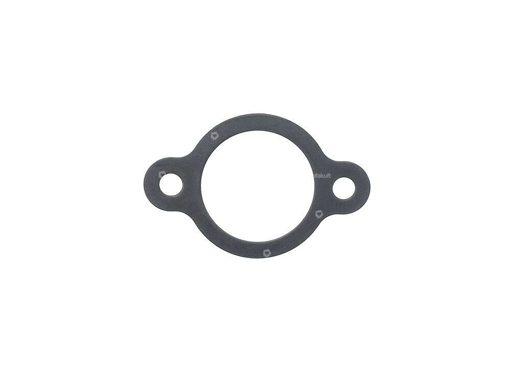 Locking plate starter clutch Mono & Vario original | Piaggio Ciao, SI, Bravo, Boxer Carousel Image 1