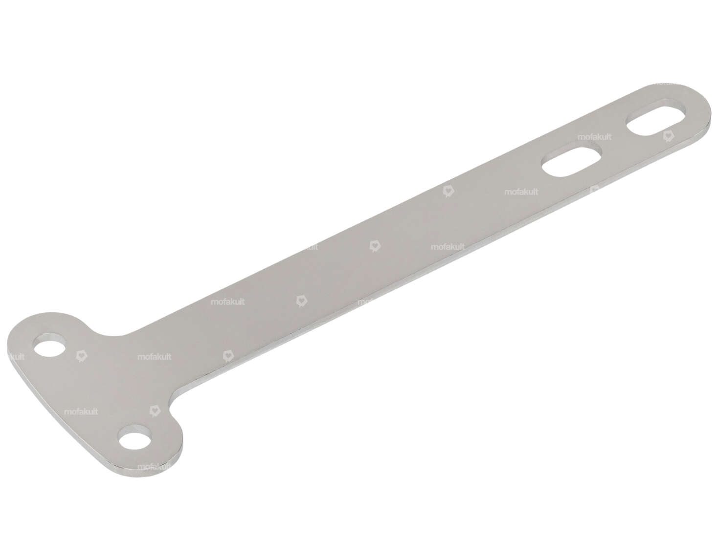 swiing® ingenious mudguard strut 17" Inox | fork EBR hydraulic / Staco Carousel Image 1