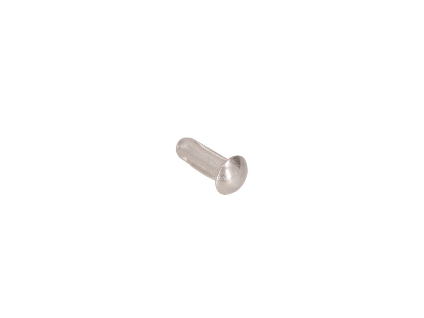 Notched nail Ø 3 x 8 mm Inox Carousel Image 2