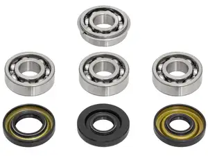 swiing® revival engine revision set (old model) | Puch E50 swiing® revival engine revision set (old model) | Puch E50