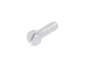 Screw M5x16 cylinder head slot galvanized Screw M5x16 cylinder head slot galvanized