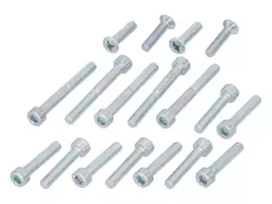 swiing® revival screw set engine galvanized | Puch Maxi swiing® revival screw set engine galvanized | Puch Maxi