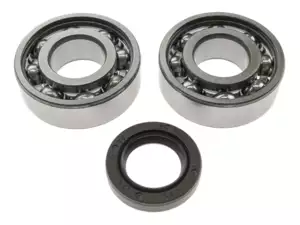 SKF Bearing Set & Oil Seal Engine | Piaggio Ciao, SI, Bravo, Boxer SKF Bearing Set & Oil Seal Engine | Piaggio Ciao, SI, Bravo, Boxer