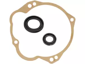 swiing® revival gasket & shaft seals Vario transmission | Piaggio Ciao, SI, Bravo, Boxer swiing® revival gasket & shaft seals Vario transmission | Piaggio Ciao, SI, Bravo, Boxer
