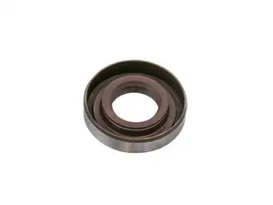 Oil seal FPM 15/30/7 BS | Sachs 50/2, 503 Oil seal FPM 15/30/7 BS | Sachs 50/2, 503
