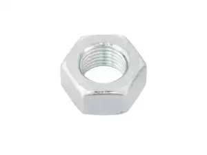 Nut M11x1 x 10 SW19 Wheel nut galvanized Nut M11x1 x 10 SW19 Wheel nut galvanized