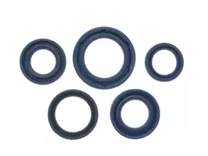 CIF oil seal set transmission Vario & torque converter | Piaggio Ciao, SI, Bravo, Boxer CIF oil seal set transmission Vario & torque converter | Piaggio Ciao, SI, Bravo, Boxer